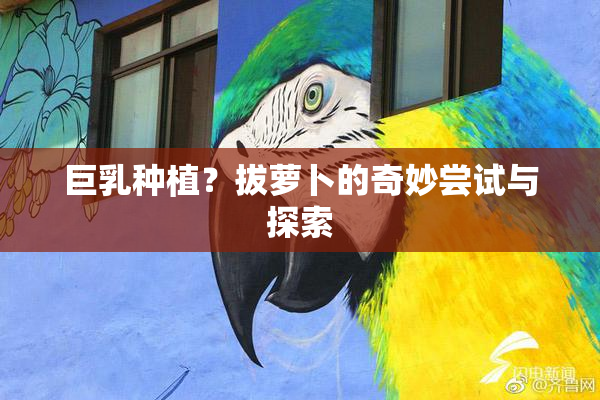 巨乳种植？拔萝卜的奇妙尝试与探索