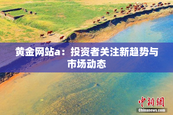 黄金网站a：投资者关注新趋势与市场动态