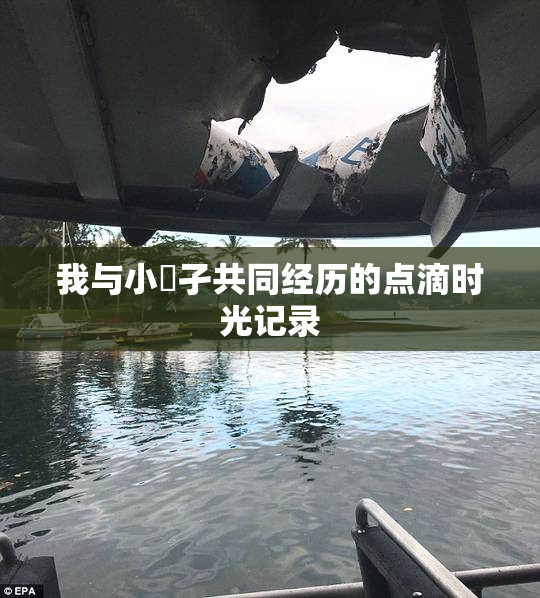 我与小娻孑共同经历的点滴时光记录