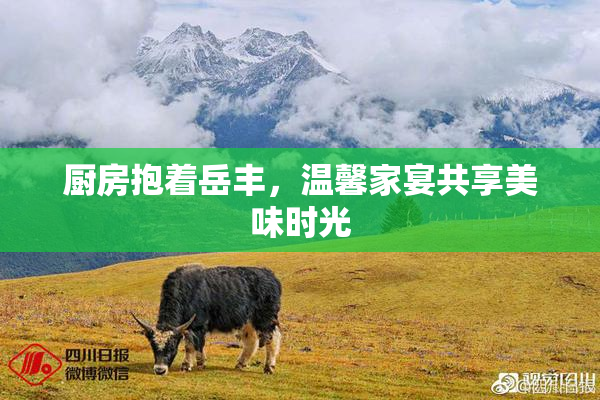 厨房抱着岳丰，温馨家宴共享美味时光
