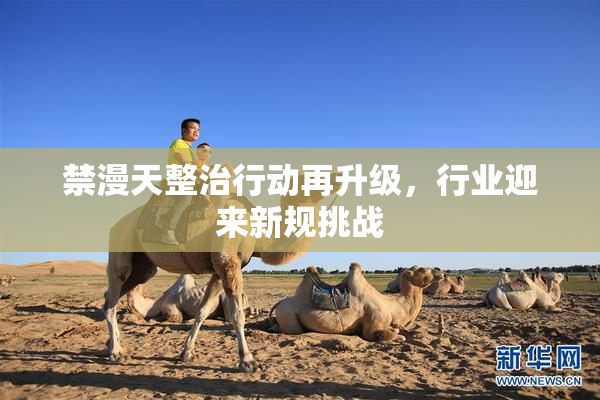 禁漫天整治行动再升级，行业迎来新规挑战