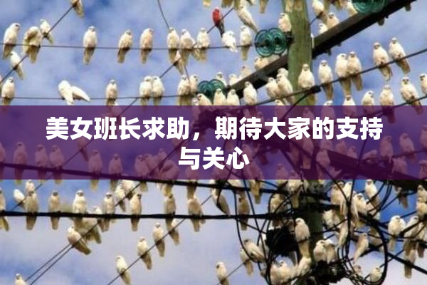 美女班长求助，期待大家的支持与关心