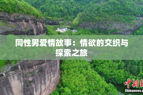 同性男爱情故事：情欲的交织与探索之旅