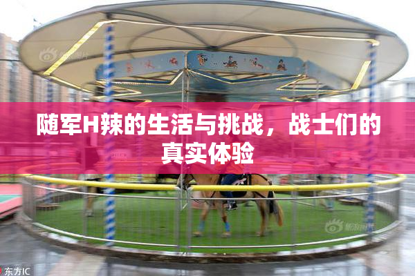 随军H辣的生活与挑战，战士们的真实体验