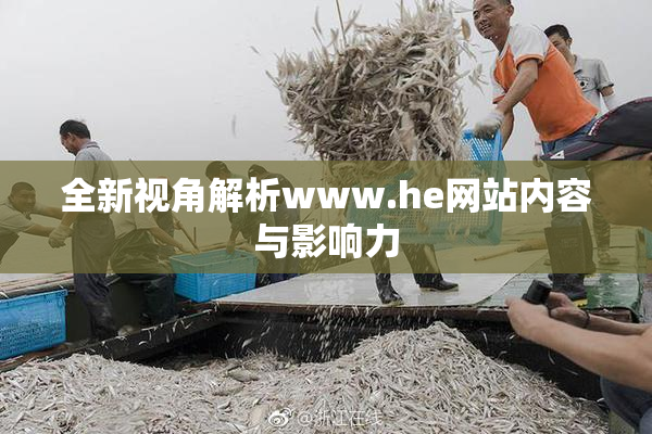 全新视角解析www.he网站内容与影响力