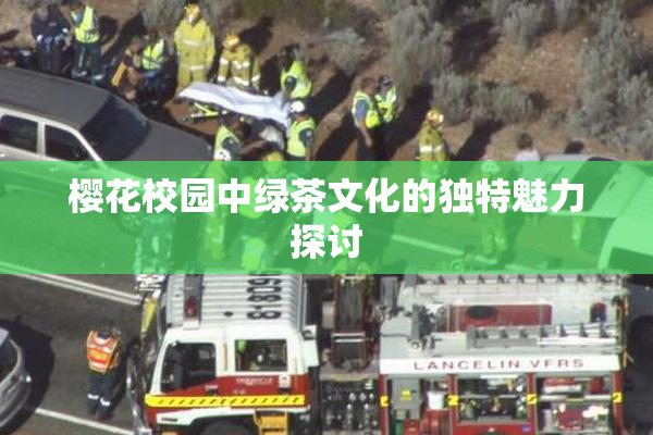 樱花校园中绿茶文化的独特魅力探讨