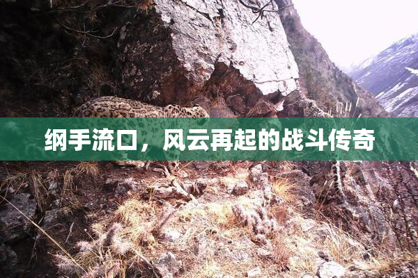 纲手流口，风云再起的战斗传奇