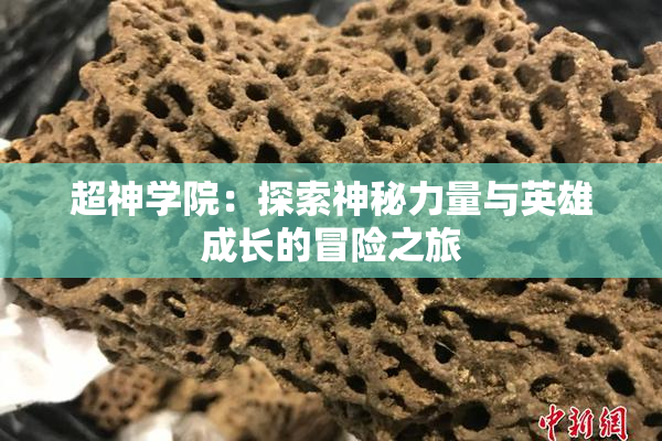 超神学院：探索神秘力量与英雄成长的冒险之旅
