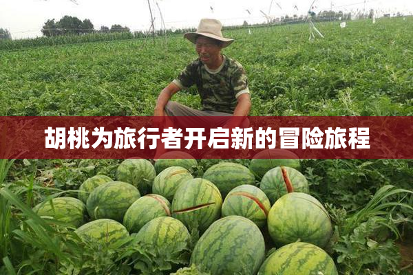 胡桃为旅行者开启新的冒险旅程