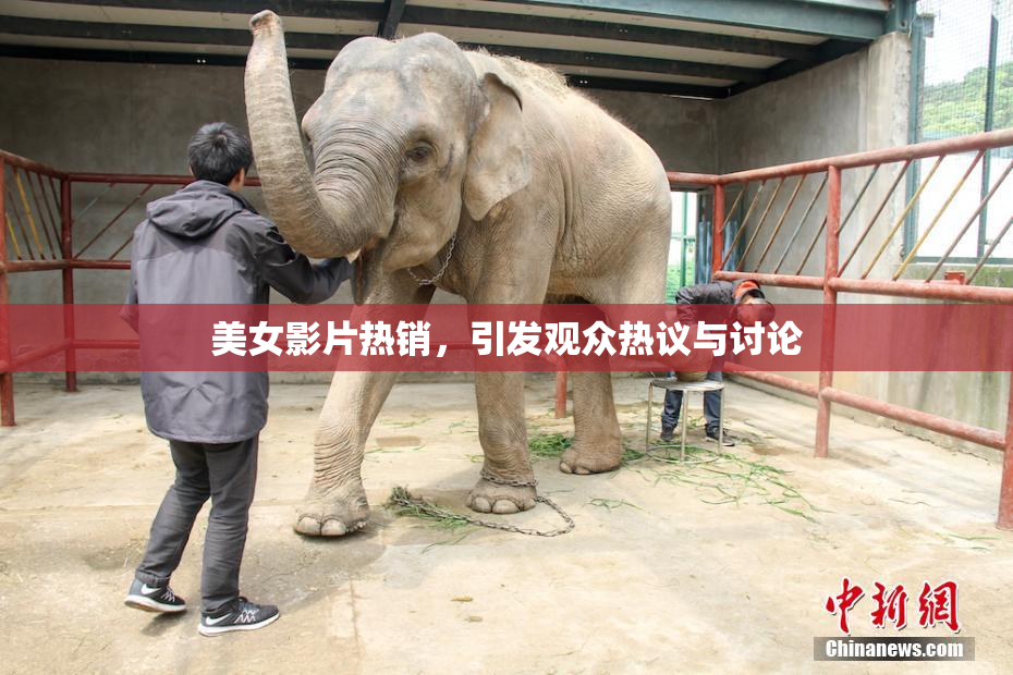 美女影片热销，引发观众热议与讨论