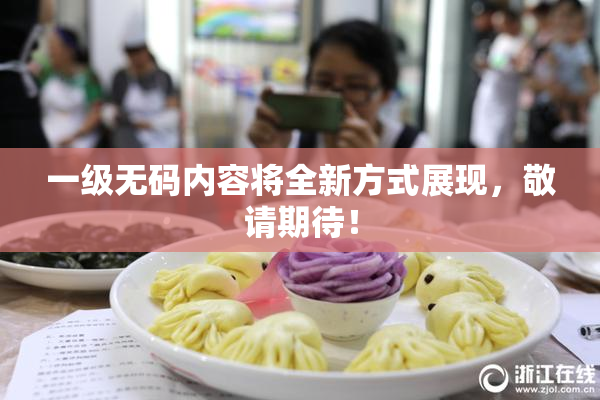 一级无码内容将全新方式展现，敬请期待！