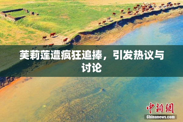 芙莉莲遭疯狂追捧，引发热议与讨论