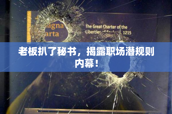老板扒了秘书，揭露职场潜规则内幕！