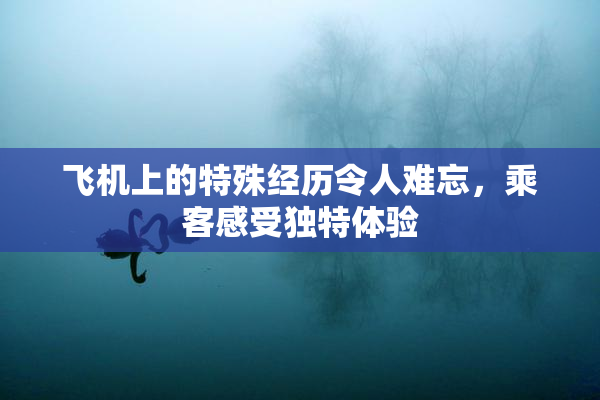 飞机上的特殊经历令人难忘，乘客感受独特体验