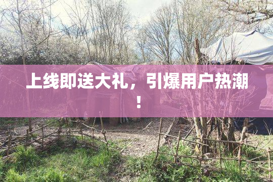 上线即送大礼，引爆用户热潮！