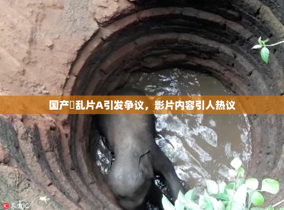 国产婬乱片A引发争议，影片内容引人热议