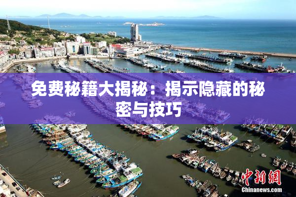 免费秘籍大揭秘：揭示隐藏的秘密与技巧