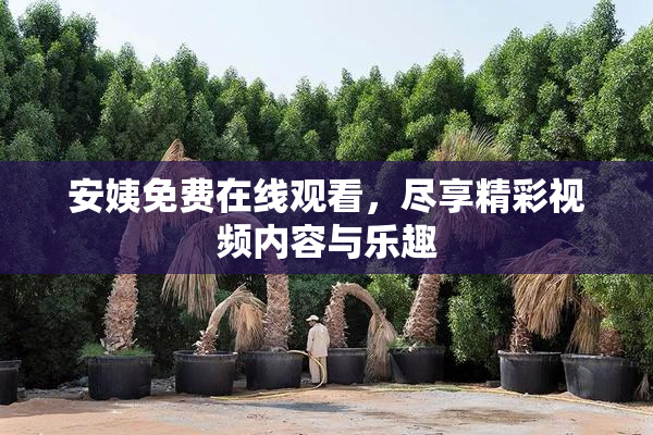 安姨免费在线观看，尽享精彩视频内容与乐趣