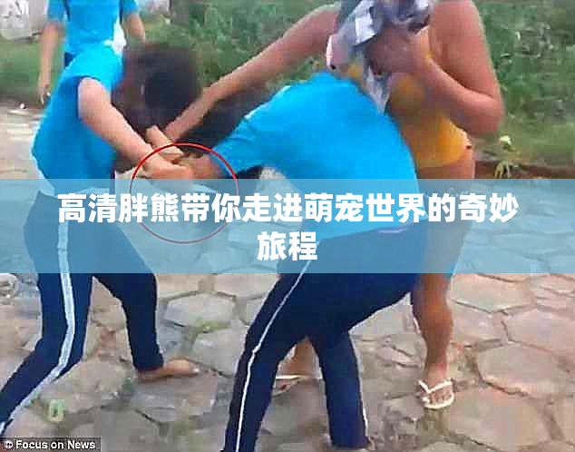 高清胖熊带你走进萌宠世界的奇妙旅程
