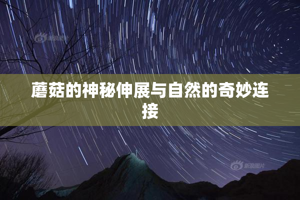 蘑菇的神秘伸展与自然的奇妙连接