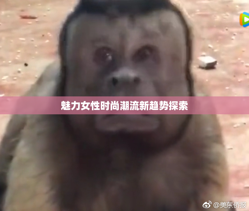 魅力女性时尚潮流新趋势探索