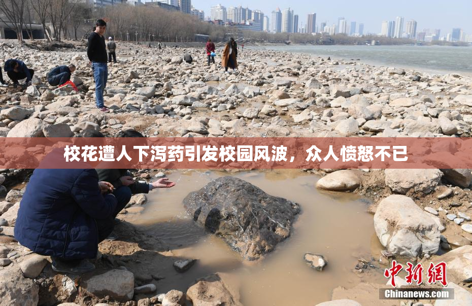 校花遭人下泻药引发校园风波，众人愤怒不已