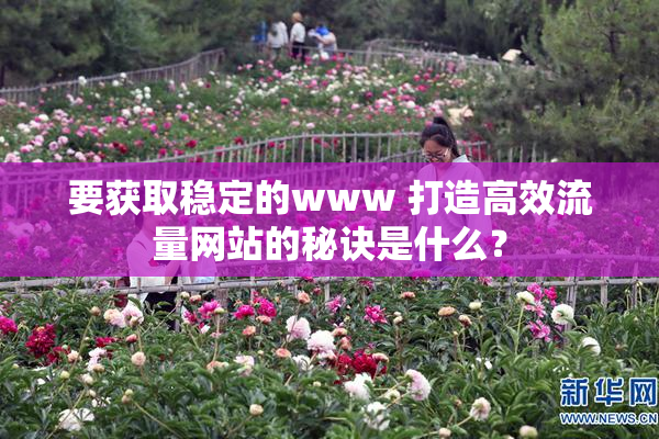 要获取稳定的www 打造高效流量网站的秘诀是什么？