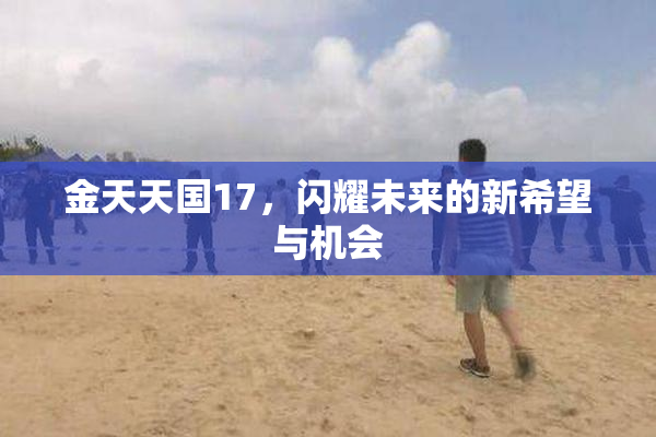 金天天国17，闪耀未来的新希望与机会