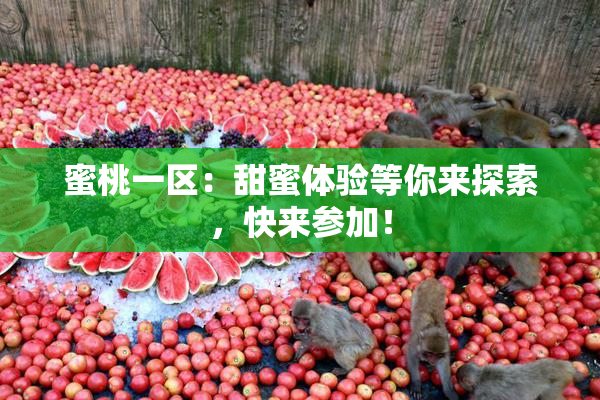 蜜桃一区：甜蜜体验等你来探索，快来参加！