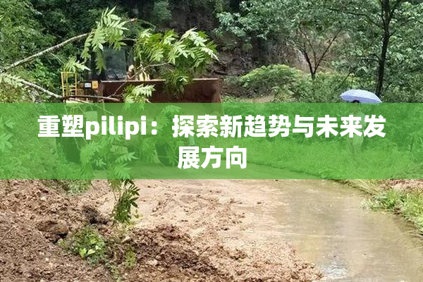 重塑pilipi：探索新趋势与未来发展方向
