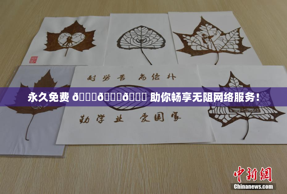 永久免费 🔞🔞🔞 助你畅享无阻网络服务！