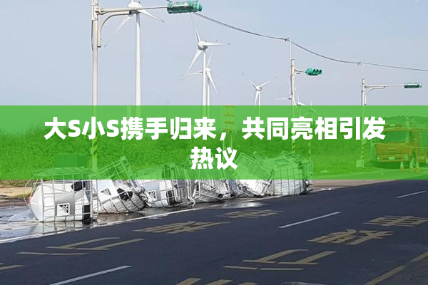 大S小S携手归来，共同亮相引发热议