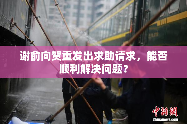 谢俞向贺重发出求助请求，能否顺利解决问题？