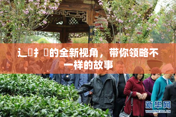 辶喿扌畐的全新视角，带你领略不一样的故事