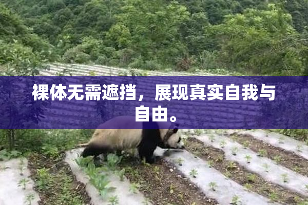 裸体无需遮挡，展现真实自我与自由。
