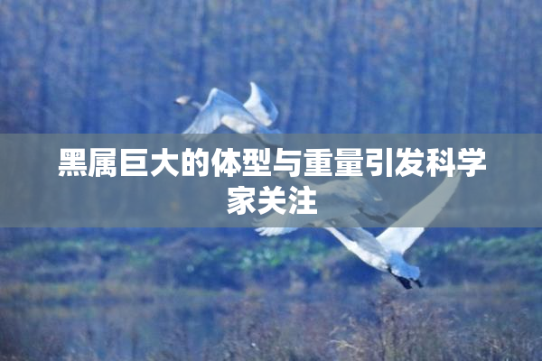 黑属巨大的体型与重量引发科学家关注