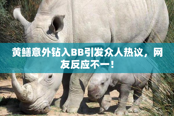 黄鳝意外钻入BB引发众人热议，网友反应不一！