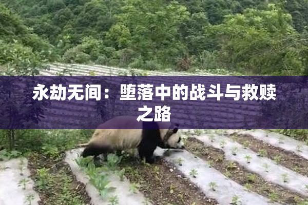 永劫无间：堕落中的战斗与救赎之路