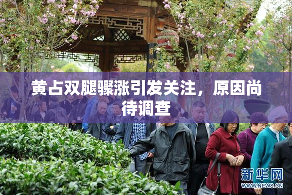 黄占双腿骤涨引发关注，原因尚待调查