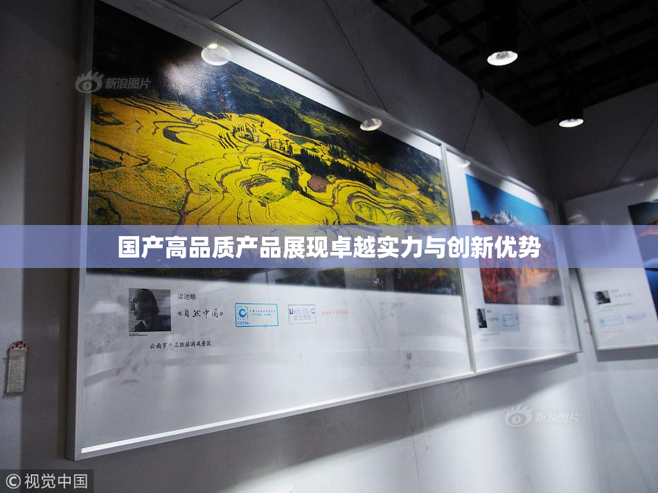 国产高品质产品展现卓越实力与创新优势