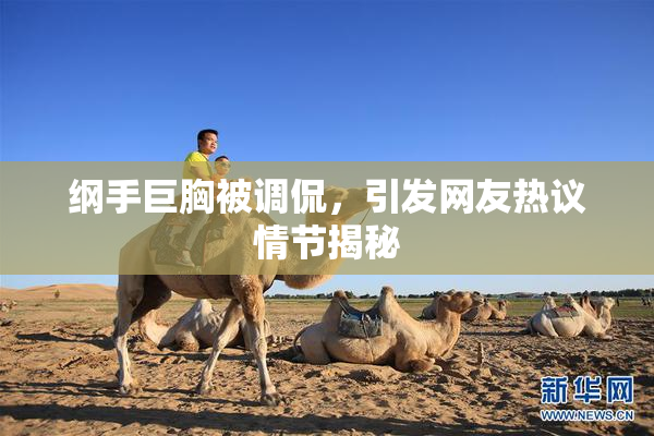 纲手巨胸被调侃，引发网友热议情节揭秘