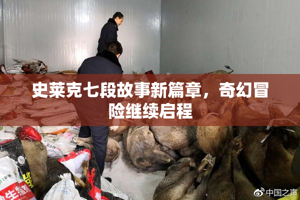 史莱克七段故事新篇章，奇幻冒险继续启程