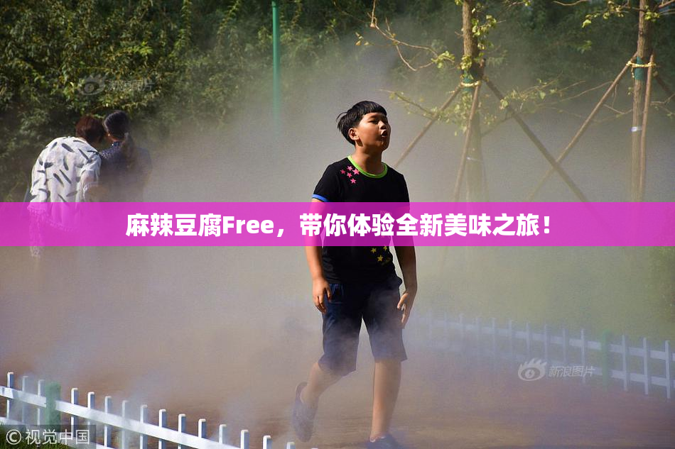麻辣豆腐Free，带你体验全新美味之旅！