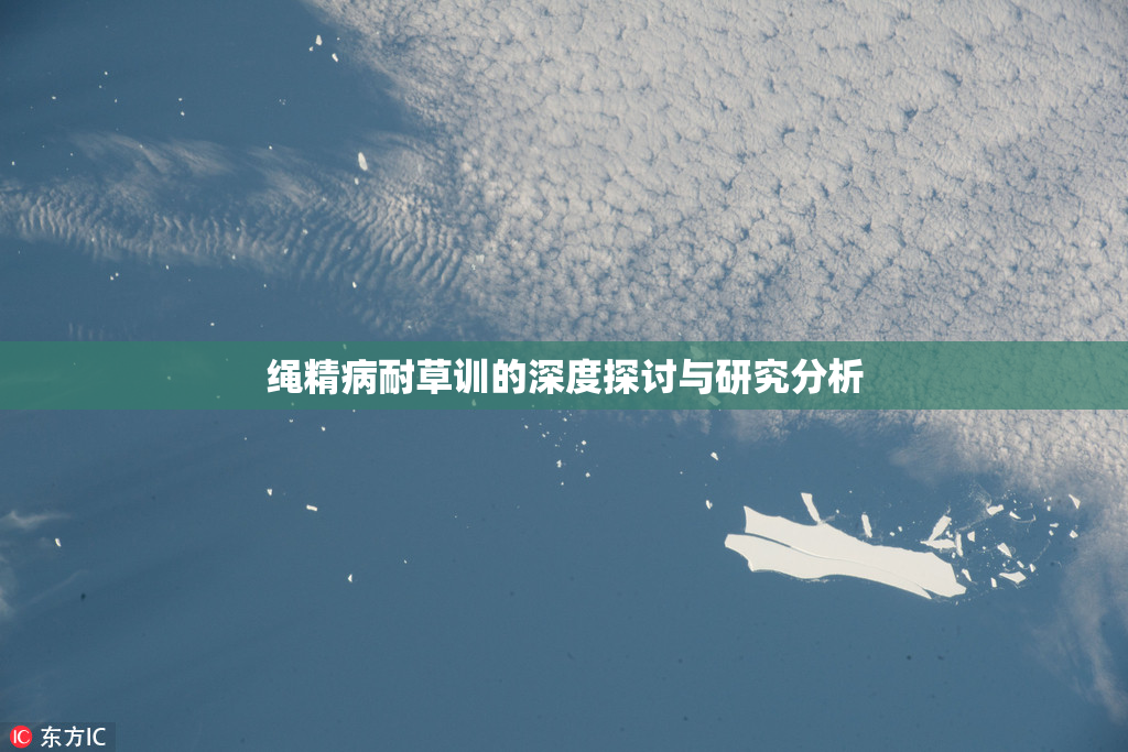 绳精病耐草训的深度探讨与研究分析