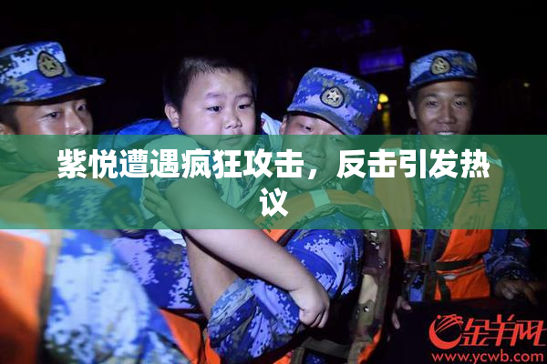 紫悦遭遇疯狂攻击，反击引发热议