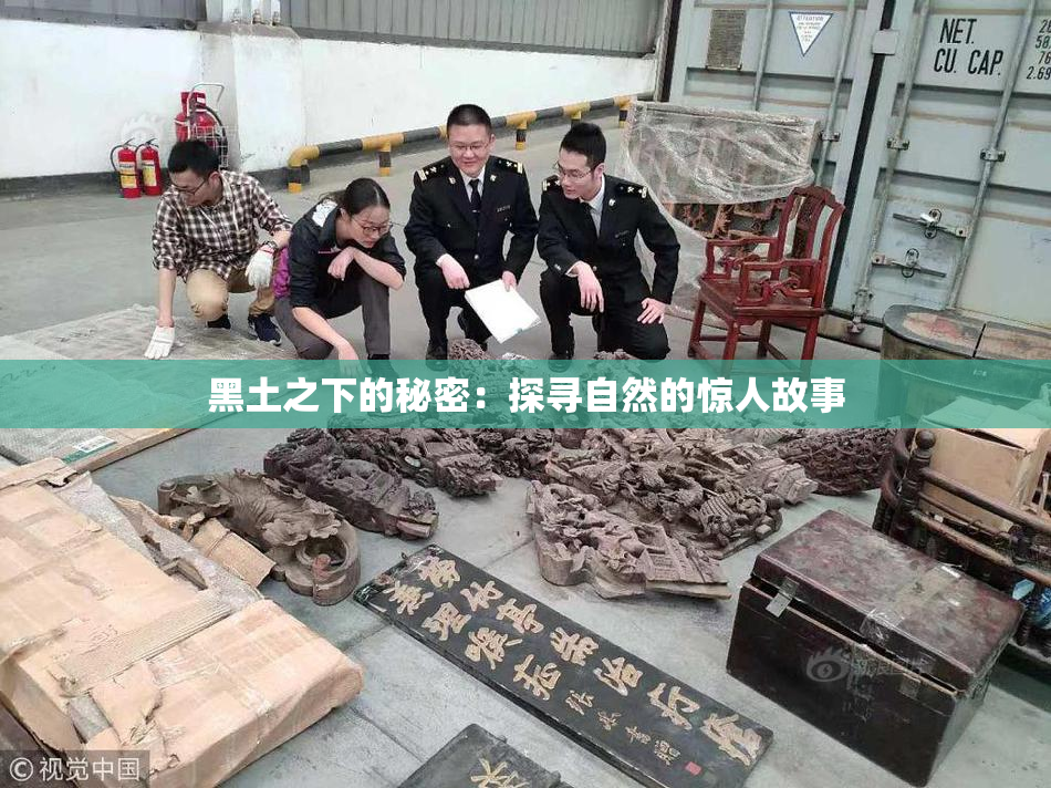 黑土之下的秘密：探寻自然的惊人故事