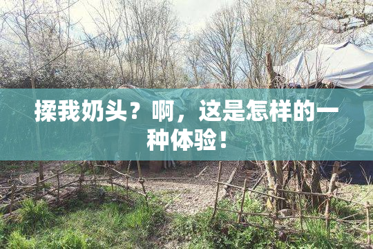 揉我奶头？啊，这是怎样的一种体验！