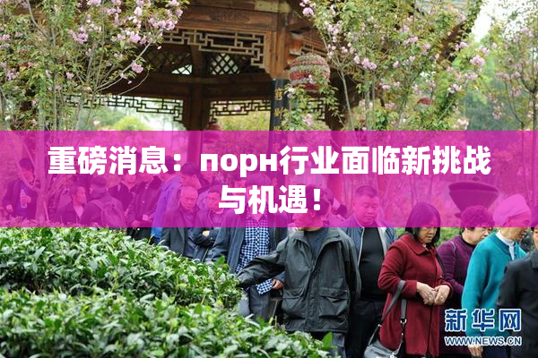 重磅消息：порн行业面临新挑战与机遇！