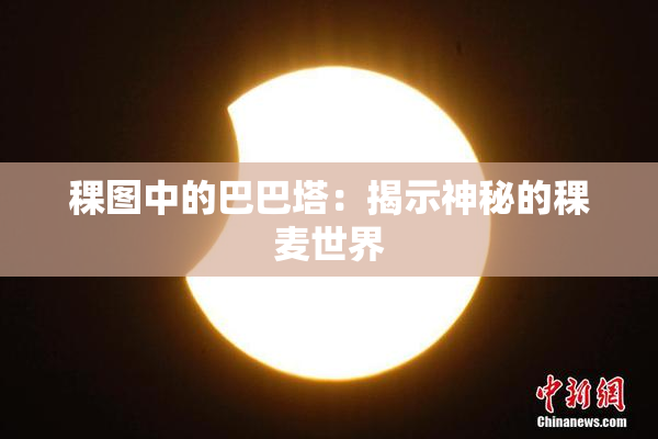 稞图中的巴巴塔：揭示神秘的稞麦世界