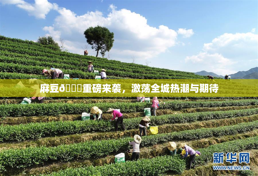 麻豆🔞重磅来袭，激荡全城热潮与期待